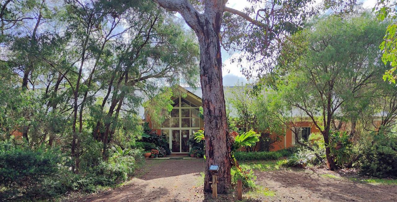 Margaret River Bed & Breakfast מראה חיצוני תמונה